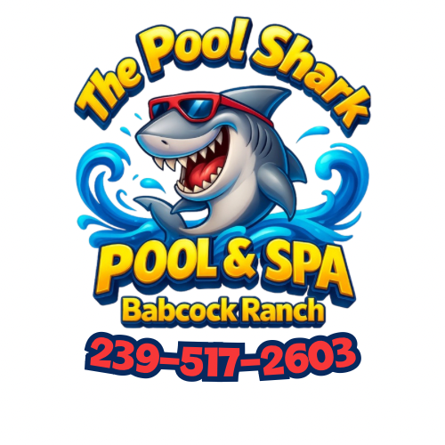 The Pool Guy